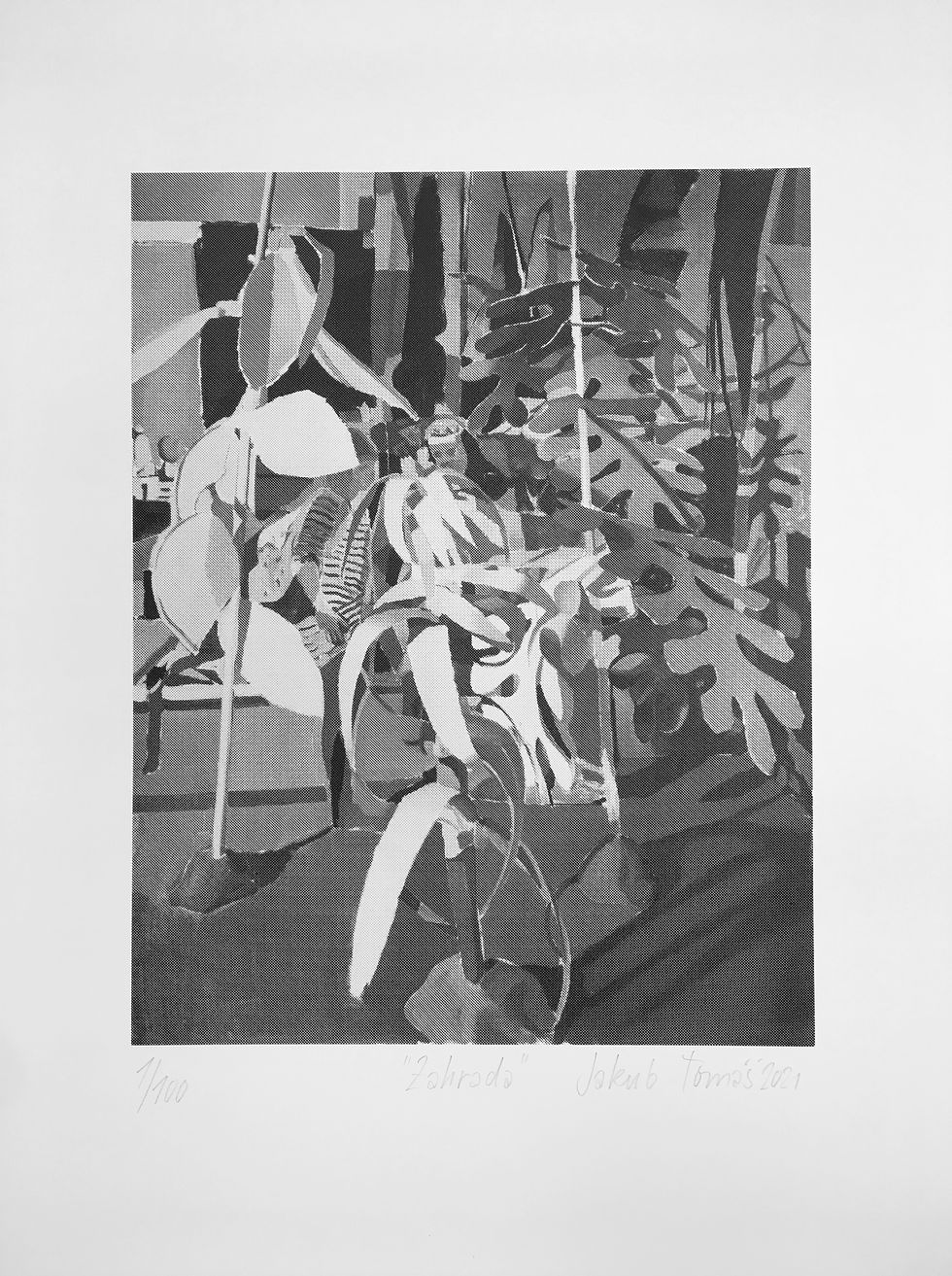 Miniatura: "Zahrada"