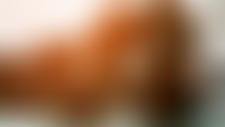 SUPLEMENTOS PARA INICIANTES NA ACADEMIA