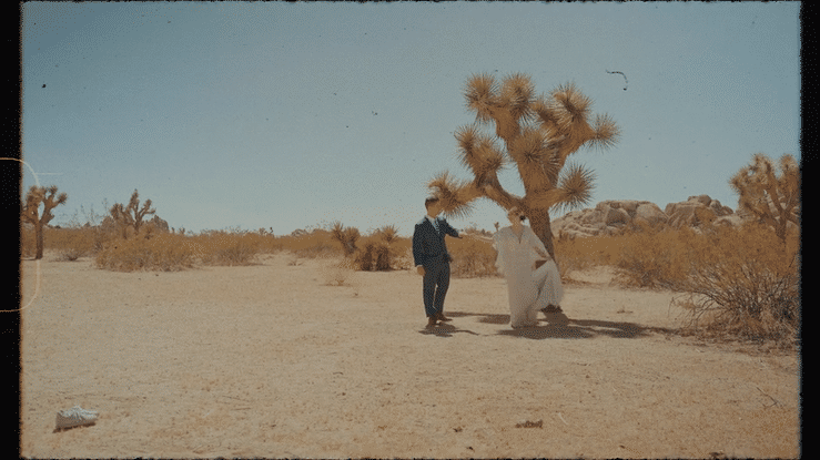 Rachael + Anthony - Joshua Tree National Park-high.gif