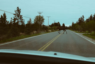 Alaska