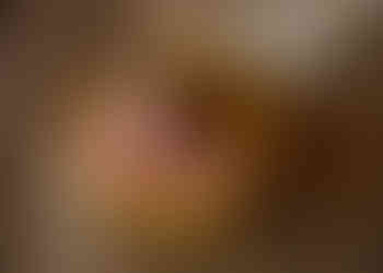 Massachusetts Newborn Photographer