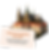Travel En.png