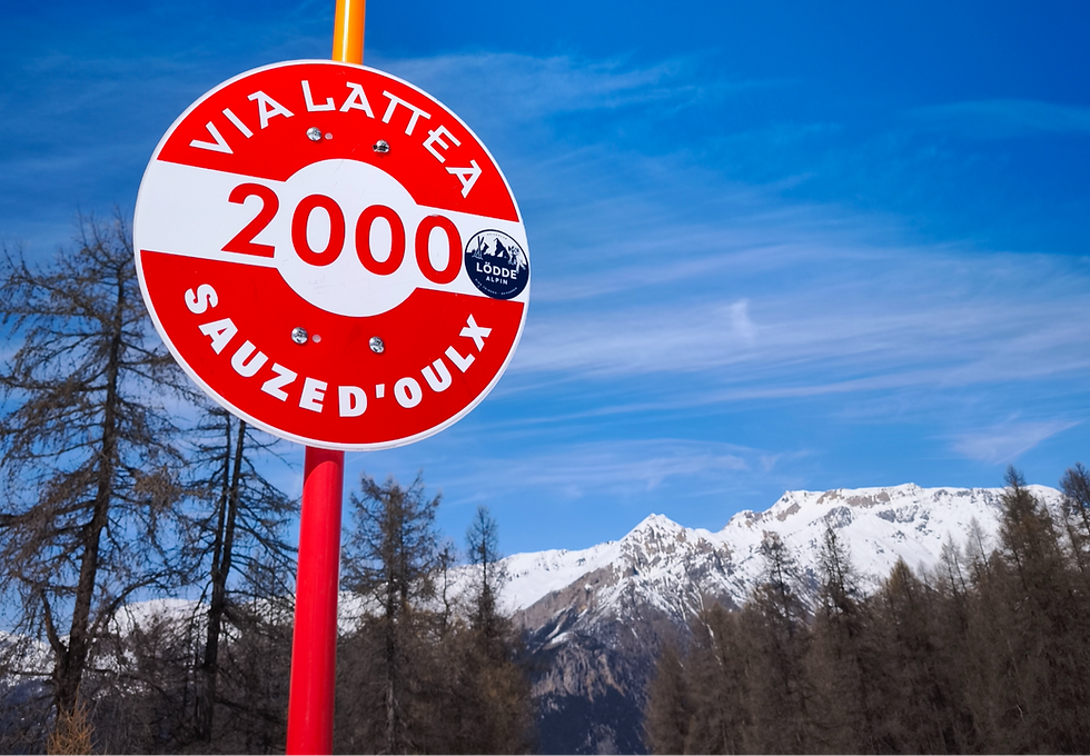 Intermediates and advanced skiers will love the red runs of Sauze d'Oulx. Best ski runs and slopes in the Via Lattea. Beginner skiers in Sestriere. Snow conditions in sestriere and sauze d'Oulx