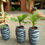 Thumbnail: flower pots/planters