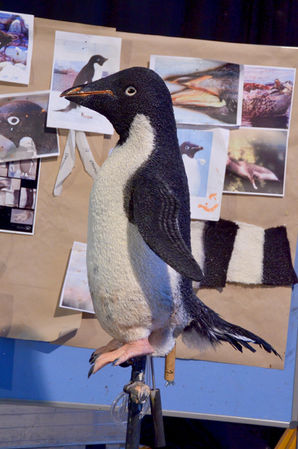 Pinguin-Puppe