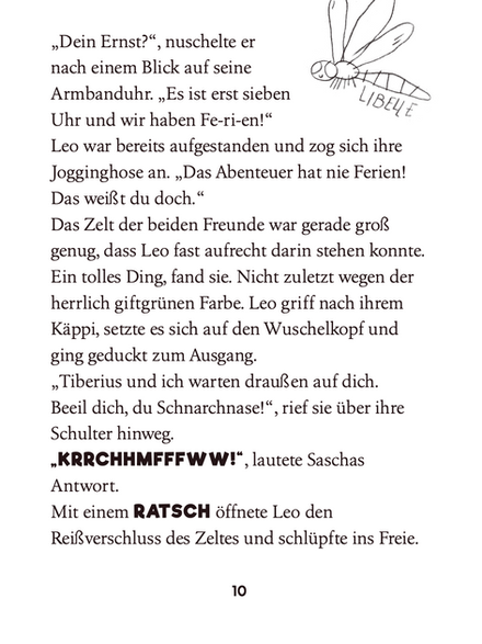 Textausschnitt aus Buch