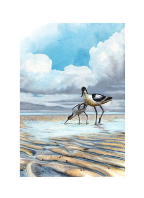 Illustration Wattenmeer