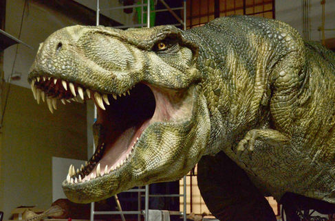 Modell Trex