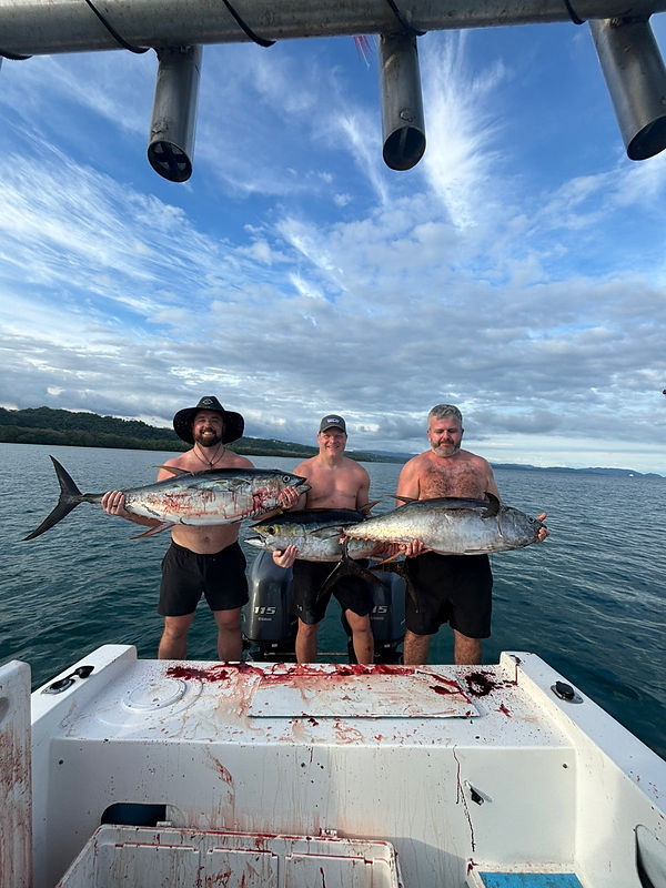 WhatsApp Image 2025-12-19 at 7.15.39 PM (4).jpeg