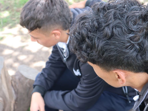 ¿Cómo puedo regularme cuando estoy triste?