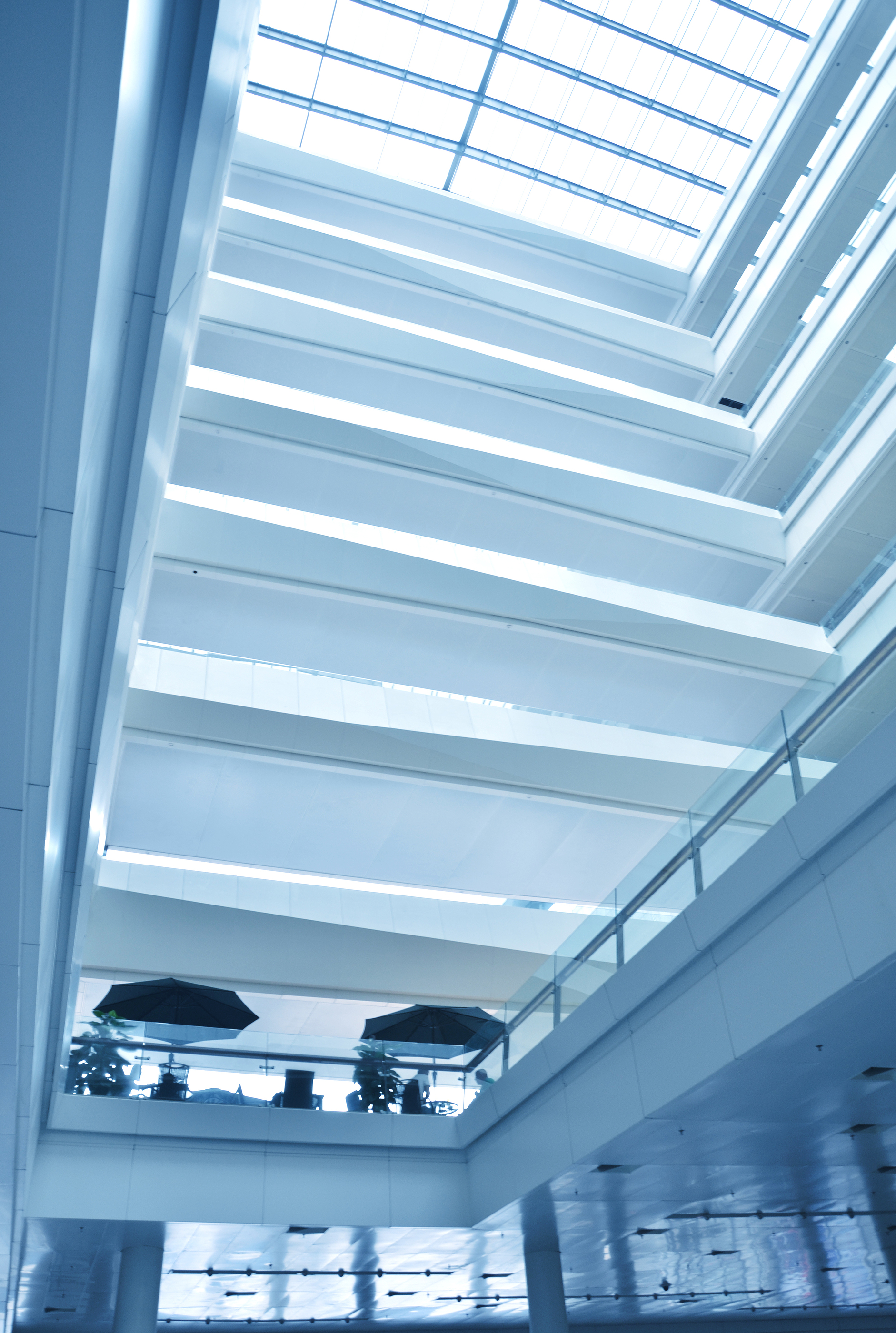 Shopping Centre Skylight