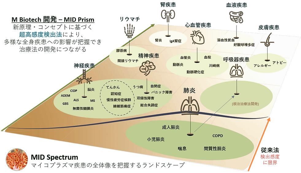 MID%20Spectrum%20new%20JP_edited.png