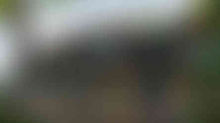 Mountain Terrace Houses