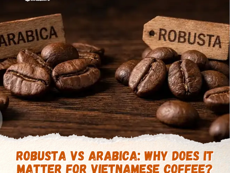 Robusta vs Arabica: Why Does It Matter for Vietnamese Coffee?