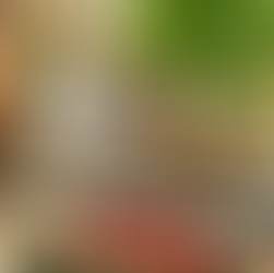 The little plan - A Hanoi vintage hidden cafe for cat lovers