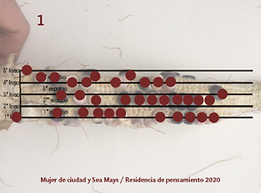 Interpretacion Part Maiz Lalo Pastrana1.