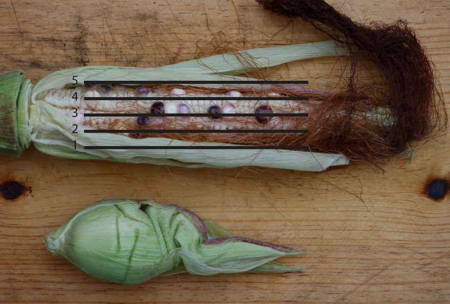 Captura de pantalla 2020-10-08 a las 3.2