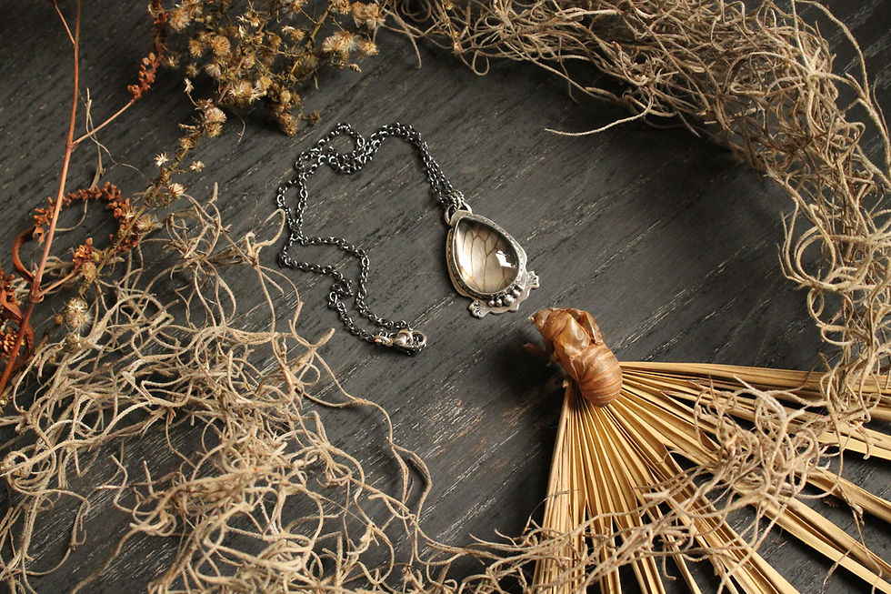 Thumbnail: Cicada Wing * Sterling Silver * Cattails