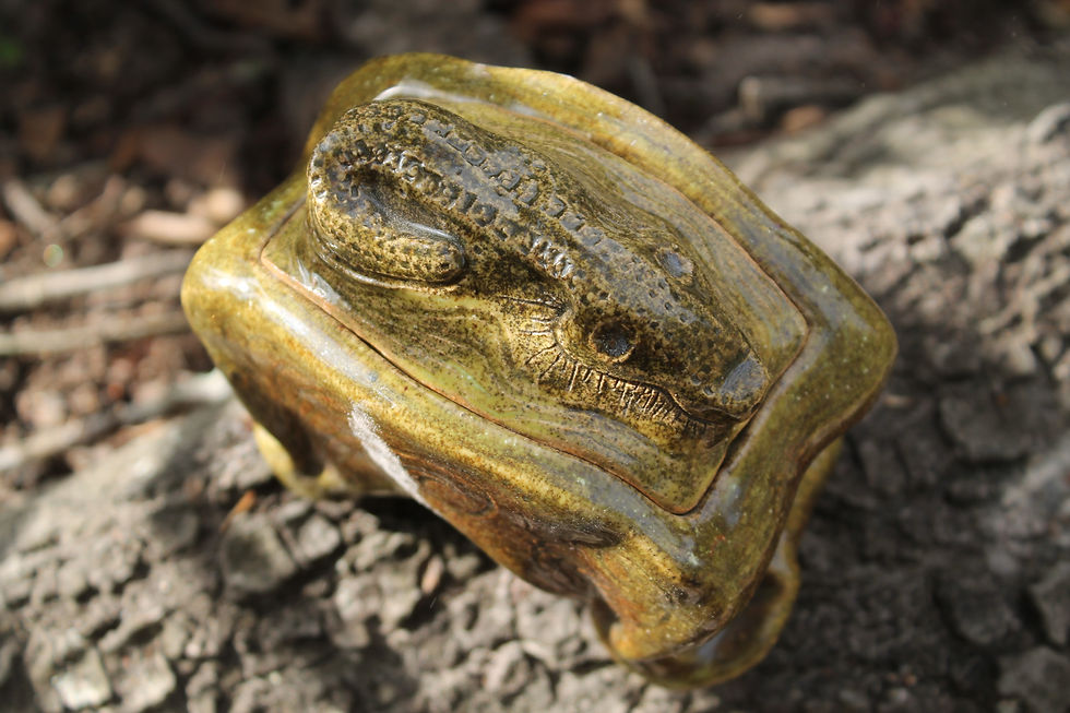 Thumbnail: * Alligator Tea Dust * Sparkling Bayou Box *