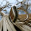 Thumbnail: Infinity Spiral * Louisiana Palm * Le Joie De Vivre * Sz 8