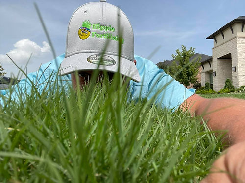Organic Lawn Care