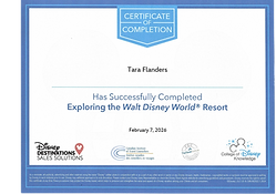 dinsney certificat #2_edited.png