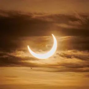 Éclipse solaire du 8 avril 2024
