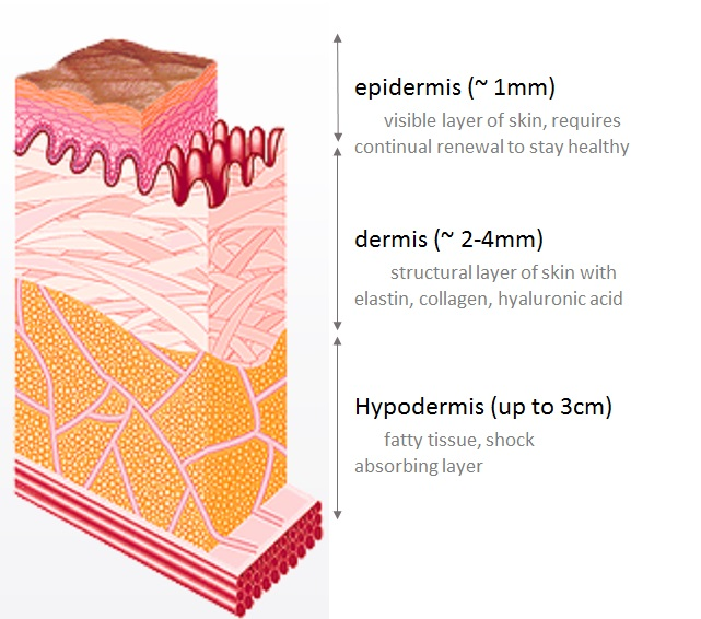Our Skin & Exfoliation Benefits Microdermabrasion, Dermaplaning and