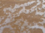 TX 2599.jpg