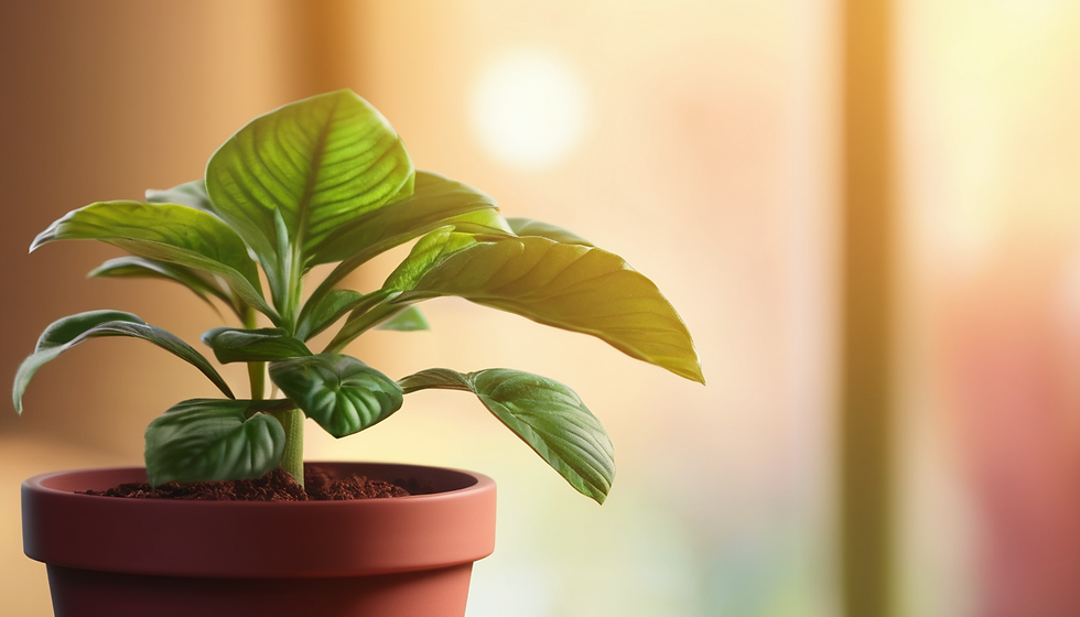 Empowerment Workshop: Mental Wellness Journey