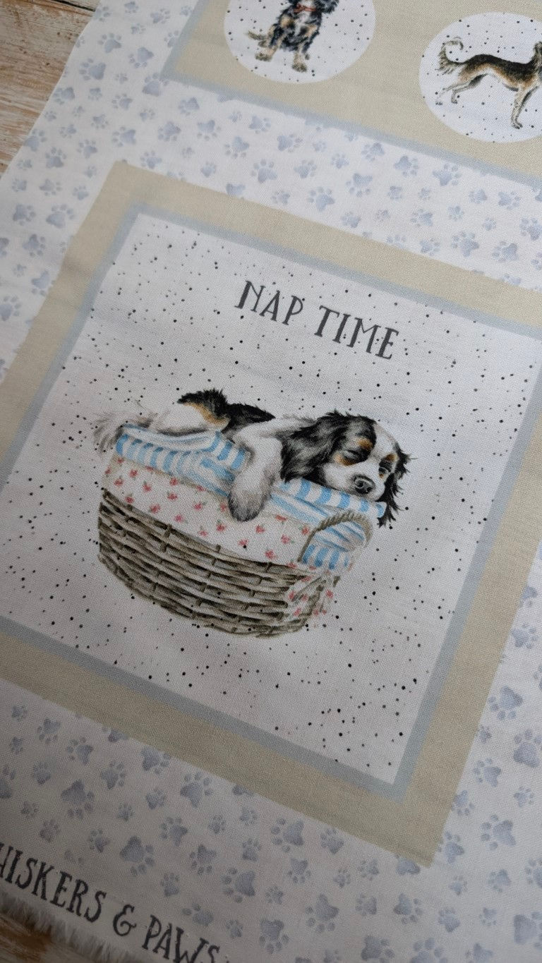 Thumbnail: Nap Time text with a puppy sleeping in a basket. The Fabric Squirrel