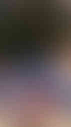 Christmas sacks and stockings in front of the Christmas tree on Christmas Eve