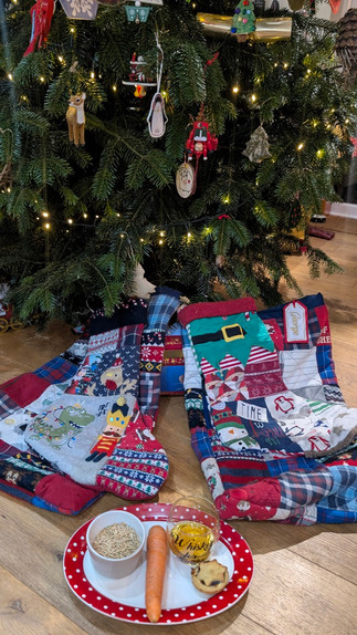 Christmas sacks and stockings in front of the Christmas tree on Christmas Eve