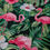 Thumbnail: Flamingo Flowers Cotton Fabric – Northcott Coastal Breeze