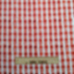 Red and white checkered fabric featuring The Fabric Squirrel and ruler
