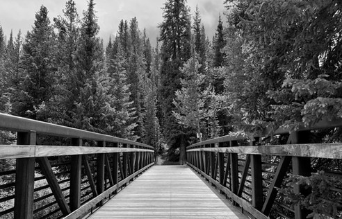 Collective Mind Technologies - Outdoors Photography