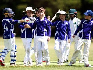 junior cricket team celebrating