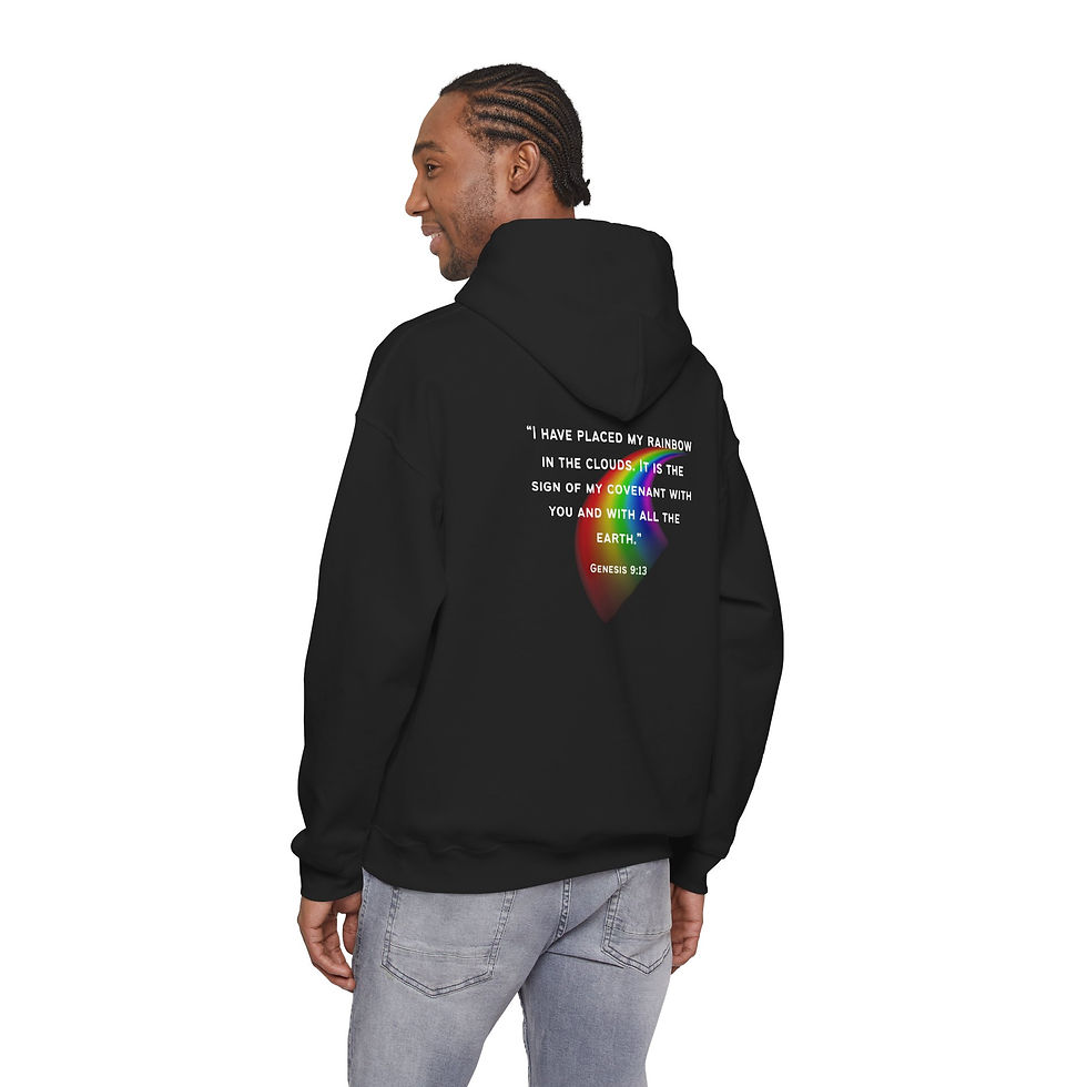 Thumbnail: PROMISE Not Pride Hoodie