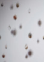 Man Made Cocoons (2013)