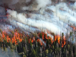 Western U.S. wildfires have gotten less frequent, though larger (AGU Eos)