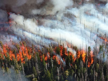 Western U.S. wildfires have gotten less frequent, though larger (AGU Eos)