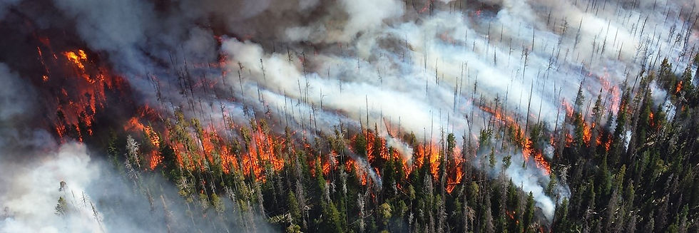 Since 1992, wildfires caused by humans have gotten less frequent in densely populated states like California and Arizona but more frequent in more sparsely populated ones like Wyoming, although the total annual burned area in the West has climbed. Credit: Mike Lewelling, U.S. National Park Service