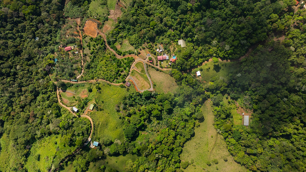 DJI_0644.jpg