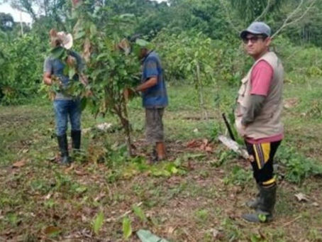 Se Analiza la futura plantación de vacunas en el Perú