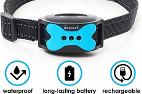 collar 1.jpg