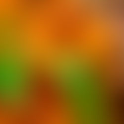 Oat Milk, Chickpea & Pumpkin Curry with Jewelled Bulgur Wheat Rice