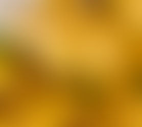 Slow Cooker Pork Curry