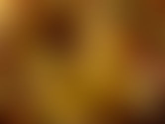 Low Carb Celeriac Beef Lasagne