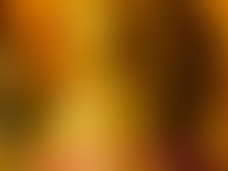 Crispy Chicken Taco with Mac ‘n’ Cheese