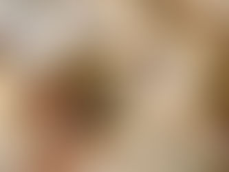 Pork Loin Steaks With Mushrooms In Creamy Apple Cider & Mustard Sauce